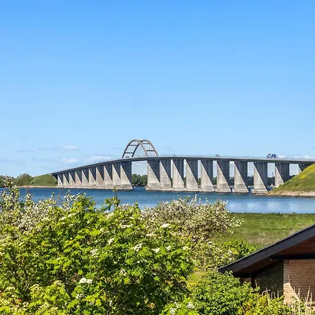 Beautiful In Daire *